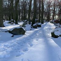 Bild vergr��ern: 2021 Neuenknick_Findlingswald10 10