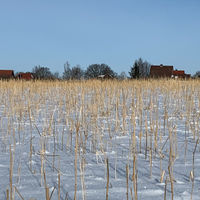 Bild vergr��ern: 20210214-Neuenknick_2003