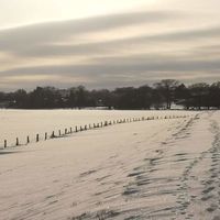 Bild vergr��ern: Winter 2021 Ovenst�dt 27