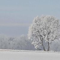 Bild vergr��ern: Winter 2021 Ovenst�dt 06