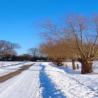 Bild vergr��ern: Winter 2021 Quetzen 08