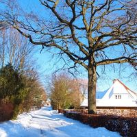 Bild vergr��ern: Winter 2021 Quetzen 11