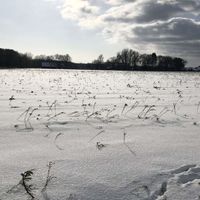 Bild vergr��ern: Winter 2021 Raderhorst 15