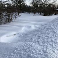 Bild vergr��ern: Winter 2021 Raderhorst 23