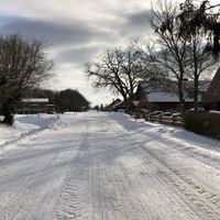 Bild vergr��ern: Winter 2021 Raderhorst 02
