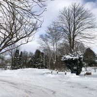 Bild vergr��ern: Winter 2021 Raderhorst 07