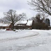 Bild vergr��ern: Winter 2021 Raderhorst 08