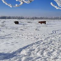 Bild vergr��ern: Winter 2021 Windheim 07