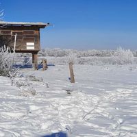 Bild vergr��ern: Winter 2021 Windheim 08