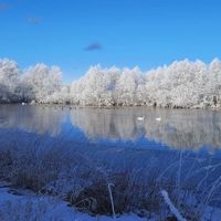 Bild vergr��ern: Winter 2021 Windheim 11