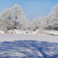 Bild vergr��ern: Winter 2021 Windheim 04