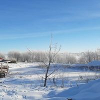 Bild vergr��ern: Winter 2021 Hopfenberg 06