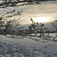 Bild vergr��ern: Winter 2021 Hopfenberg 01