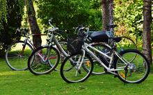 Symbolfoto Fahrr�der