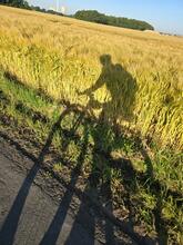 2024-06-09_Foto Schatten-Rad