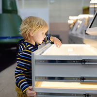 Little сaucasian boy is looking an exposition in a scientific museum