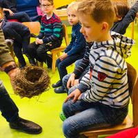 Bild vergr��ern: 7Vogelnest
