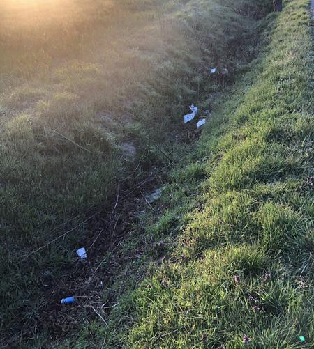 IMG_4452