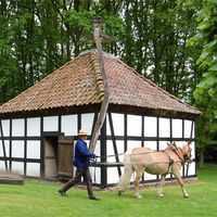 Ausshnitt Rossm�hle 2