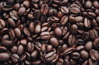 Bild_Infobrief_Fairtrade