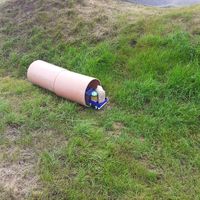 Bild vergr��ern: b14