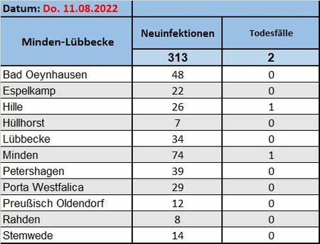 Fallzahlen11082022
