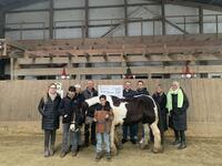 Reittherapie an der Schule Rodenbeck f�r das ganze Jahr 2024 gef�rdert