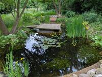 Garten-Challenge Bosch