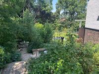 Garten-Challenge Teske