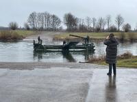 Amphibie im Wasser