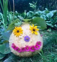 Herbststimmung auf Kr�gers Naturhof