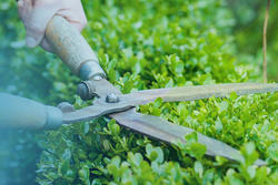 Gr�n- und Gartenabf�lle
