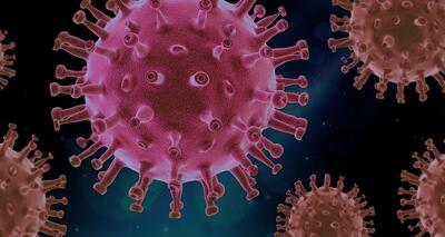 Corona Virus Grafik lila