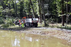Arbeiten am Biberteich