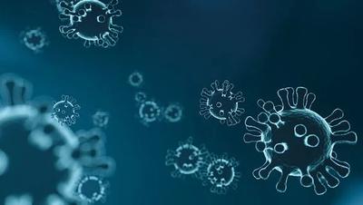Corona Virus Grafi