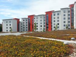 Dachbeg�nung