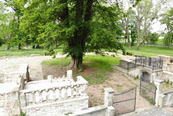 Ellerburg Ruine