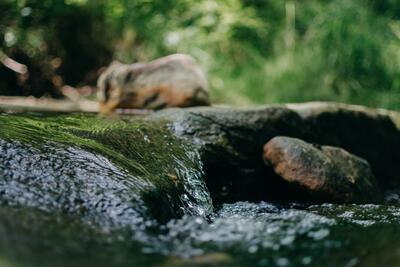 Umgestaltung Kleine Aue