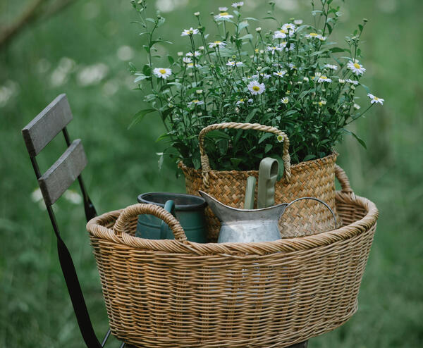 Garten-Challenge