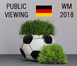 Public Viewing WM 2018