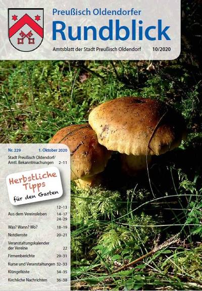 Rundblick 10-2020