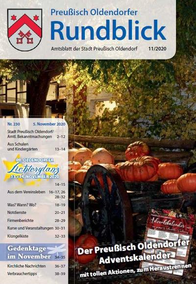 Rundblick 11-2020