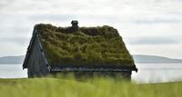 Dach-Fassadenbegr�nung