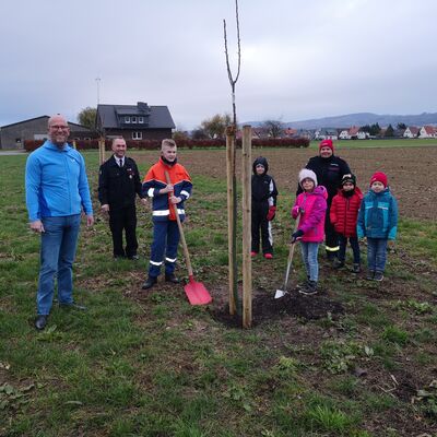 Obstb�ume gepflanzt 12-2021