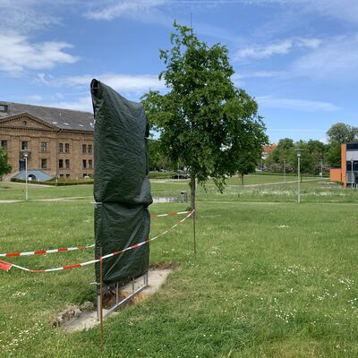 Kunststele Frieden am Kreishaus (003)