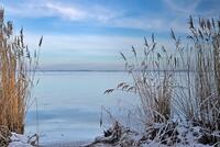 Natur