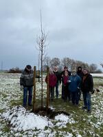 B�rgerwald 1