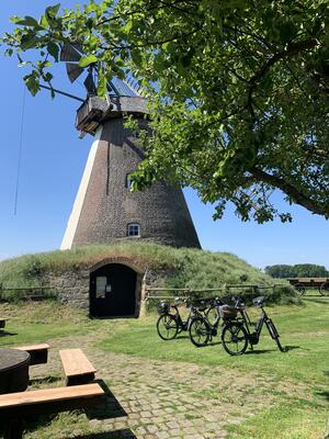Runde Backsteinwindm�hle in S�dhemmern unter blauem Himmel, im Vordergrund zwei geparkte Fahrr�der und gr�ne Baumzweige.
