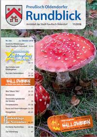Rundblick 11-2018