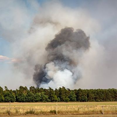 Waldbrandgefahr